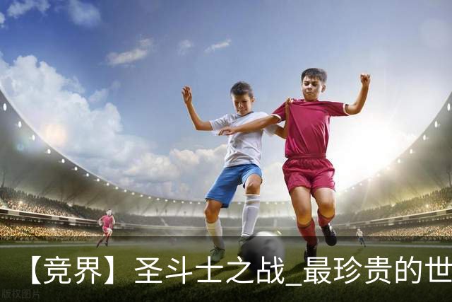 【竞界】圣斗士之战 最珍贵的世界杯藏品